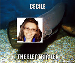 Cecile The Electric Eel Meme Generator - DIY LOL via Relatably.com