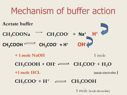Buffer Solution And Buffer Action Chemistry Class 11