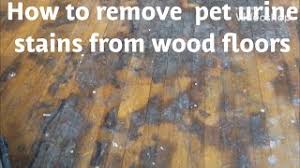 water damage stains from wood floors
