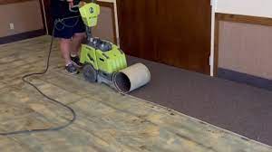 commercial carpet removal sydney dust