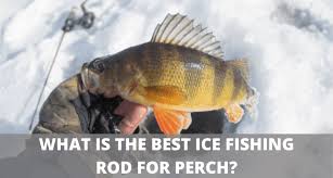 best ice fishing rods for perch 2021