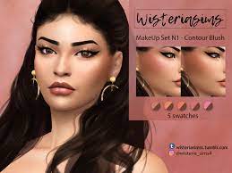 makeup set n1 contour blush