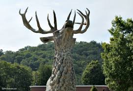 things to do in banner elk nc outdoors