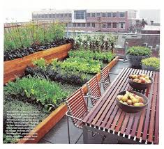 Vegetable Garden Boxes Rooftop Garden