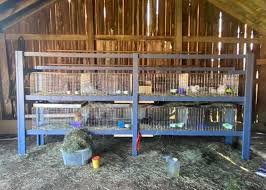 Building My Rabbit Hutch With Kw Cages