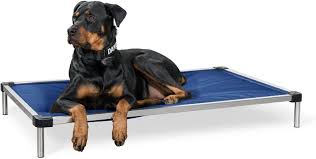 the 17 best durable dog beds the dog