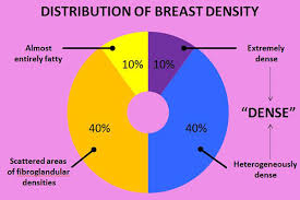 For Patients Michigan Breast Density Notification