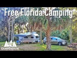 Find traveler reviews, candid photos, and prices for 545 camping in texas, united states. Best Free Camping In Florida Campendium