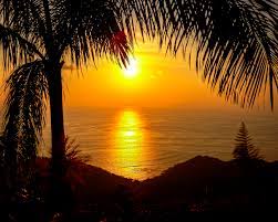 Download this free picture about beach sunset tropical from pixabay's vast library of public domain images and videos. Free Photo Tropical Sunset Beach Summer Recreation Free Download Jooinn
