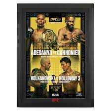 UFC 276: Adesanya vs Cannonier ...
