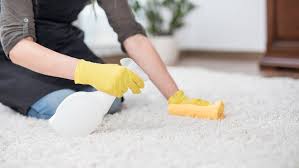how to clean vomit off a carpet