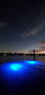 Underwater Led Dock Light For Water Deeper Than 10 Loomis Led