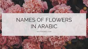 names of flowers in arabic selfarabic