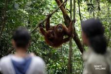 Sumatra Jungle Challenge