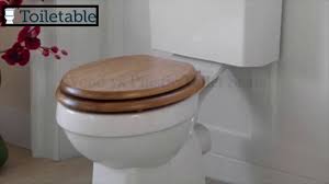 wood vs plastic toilet seats 2019