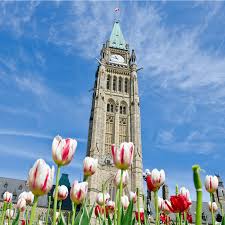 top 10 things to do in ottawa with kids