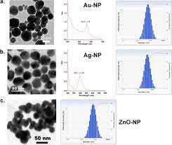 Nanoparticle Composite Tpnt1 Is