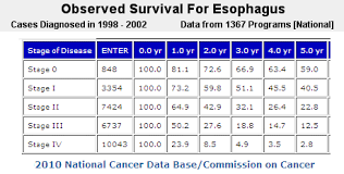 esophagus cancer se and survival