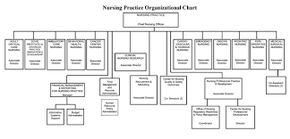 42 Perspicuous Nurse Organizational Chart