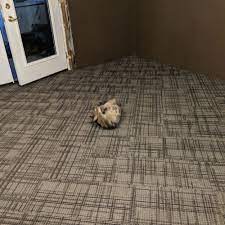 carpet installation in bellevue ne