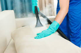 upholstery cleaning carpenters