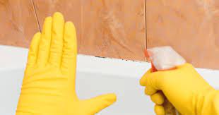 how to remove mold and mildew from
