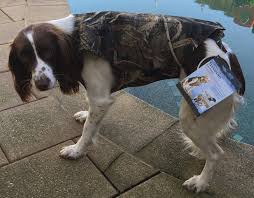 Avery Standard Neoprene 3mm Dog Vest In Marshgrass Camo Xl