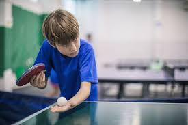 a guide to table tennis
