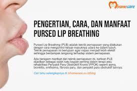 manfaat pursed lip breathing