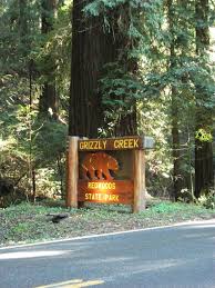 Check spelling or type a new query. Grizzly Creek Redwoods State Park Mapio Net