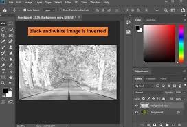 How To Invert Black And White In