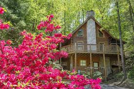 bedroom cabins in pigeon forge