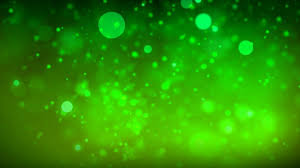 photo of bokeh green background