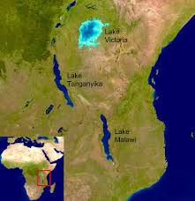 Africa world geography upscfever africa map zoomschool.com module twenty one, activity one | exploring africa nile wikipedia nile ri. Lake Tanganyika Cichlid Guide Cichlid Guide