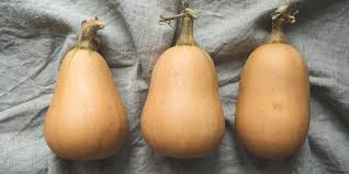 How To Grow Ernut Squash In Pots