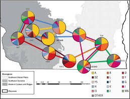 Pie Charts Illustrate The Distribution Of Mtdna Haplotypes