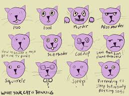 Cat Psychology Camestros Felapton