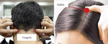 Acupressure Points For Hair Loss China Education Center