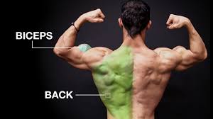 back and biceps workout target both