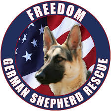 The rescue is run entirely by volunteers. German Shepherd Rescue Of New Jersey Home Facebook