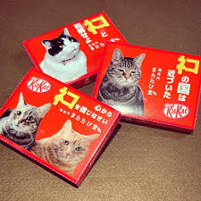 ネコと和解せよ】仙台市青葉区一番町の『猫専門 またたび堂』で、『猫の日 ノベルティキャンペーン』を2023年2月22日から開催してるみたい！ |  仙台つーしん