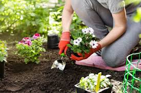 Energy Saving Tips For Spring Yard Work