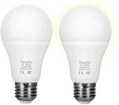 Electric Led Light Bulbs