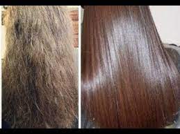 shiny silky hair in 1 day home remedy