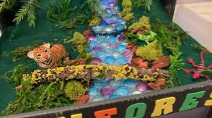 Craft a fun polar shoebox diorama while learning all about arctic and antarctic animals and their natural habitats. Diorama School Project Rainforest Habitat Youtube