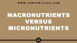 macronutrients versus micronutrients