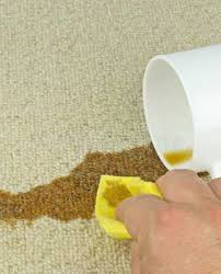 pro carpet cleaners janitorial