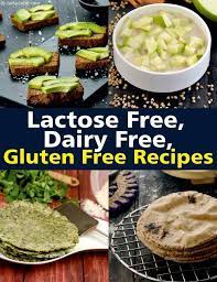 collection of lactose dairy free recipes