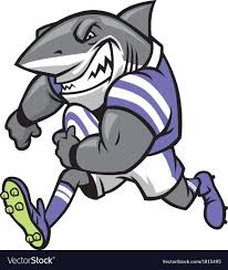 rugby shark mascot royalty free vector