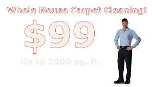 carpet cleaning ruskin fl 99 00 whole